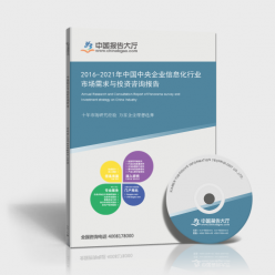 2016-2021年中國(guó)中央企業(yè)信息化行業(yè)市場(chǎng)需求與投資咨詢報(bào)告